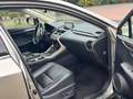 Lexus NX 300h E-FOUR Luxury Line - thumbnail 6