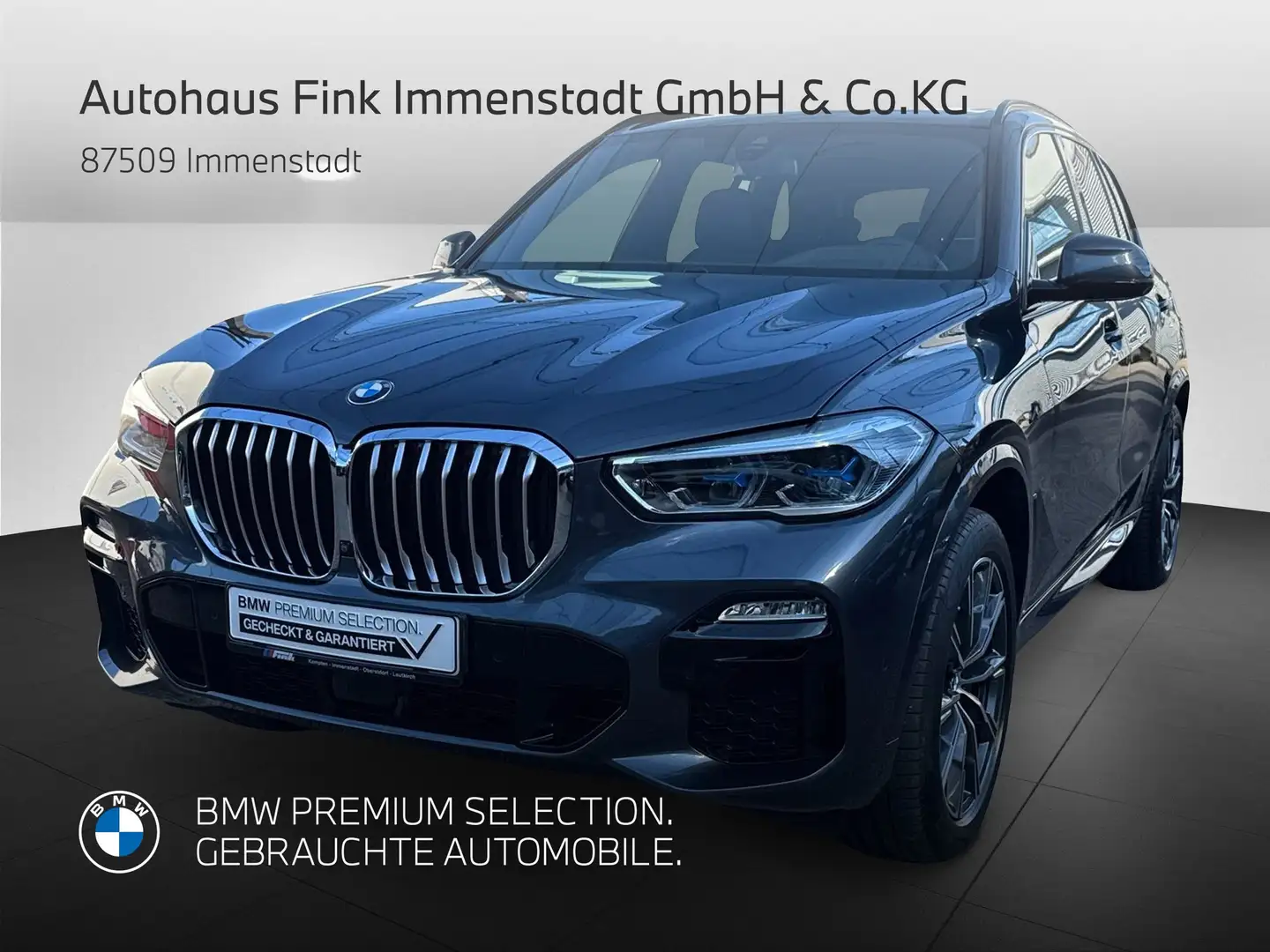 BMW X5 xDrive40i M Sportpaket Gestiksteuerung DAB Grau - 1