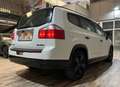 Chevrolet Orlando 2.0VCDi LTZ 163 Blanco - thumbnail 4