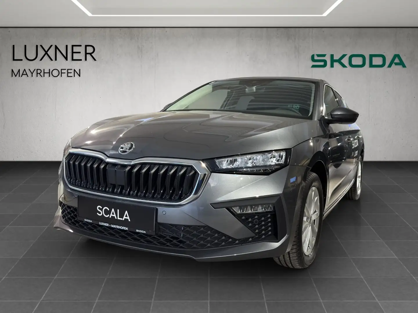 Skoda Scala Selection TSI Grau - 1