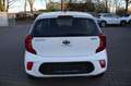 Kia Picanto Edition 7 inkl. Emotion Paket Weiß - thumbnail 4