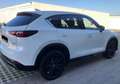 Mazda 5 Mazda 5 2,0i TX Plus Aut. TX Plus Weiß - thumbnail 2