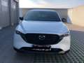 Mazda 5 Mazda 5 2,0i TX Plus Aut. TX Plus Weiß - thumbnail 1