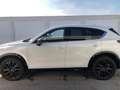Mazda 5 Mazda 5 2,0i TX Plus Aut. TX Plus Weiß - thumbnail 3