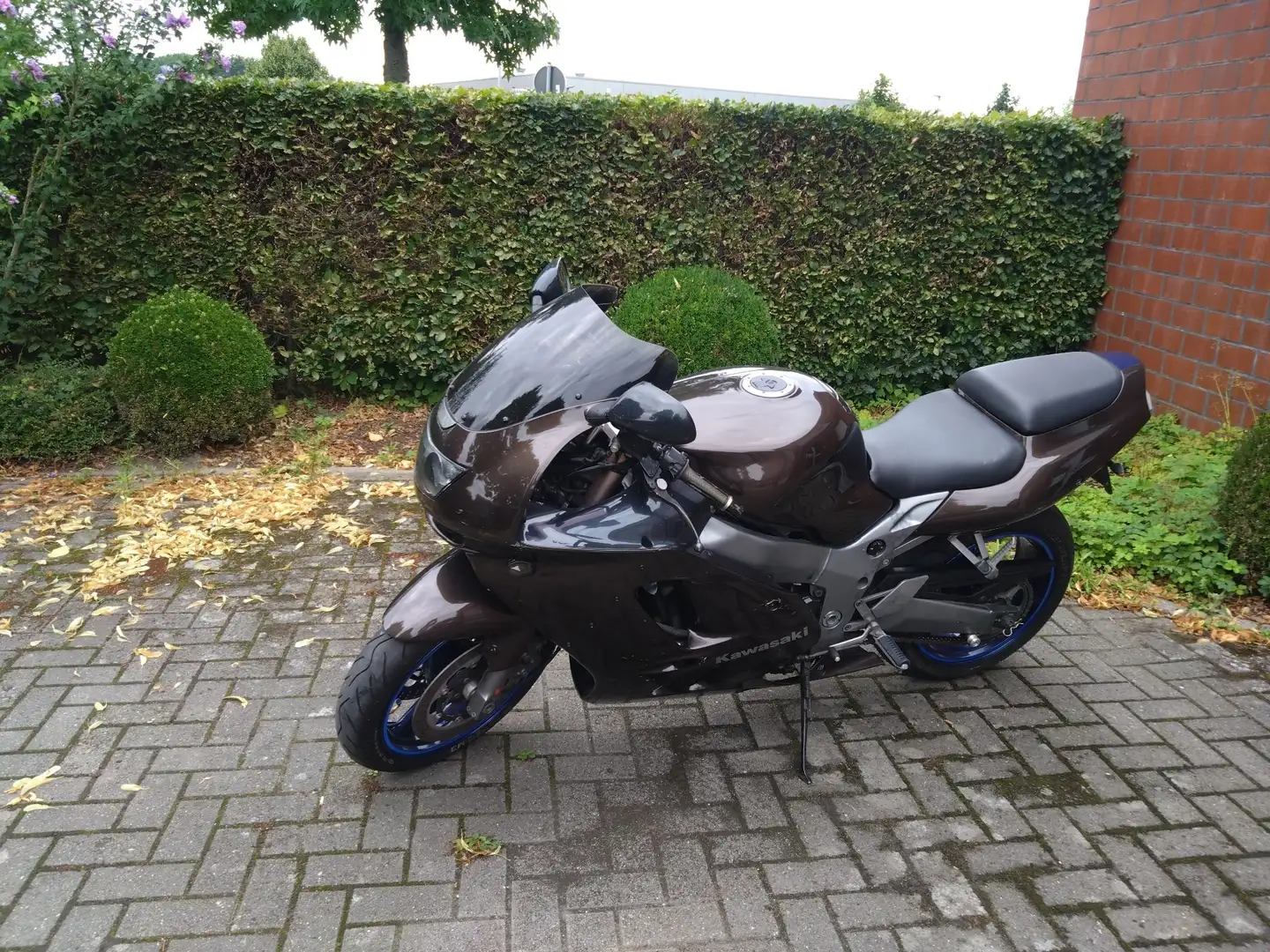 Kawasaki Ninja ZX-9R Braun - 1