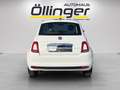 Fiat 500 FireFly Hybrid 70 CULT Weiß - thumbnail 5