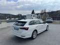Skoda Octavia Combi 2,0 TDI Style DSG *VERKAUFT* Weiß - thumbnail 7