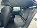 Skoda Octavia Combi 2,0 TDI Style DSG *VERKAUFT* Weiß - thumbnail 35