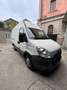 Iveco DAILY 35S13 Bianco - thumbnail 15