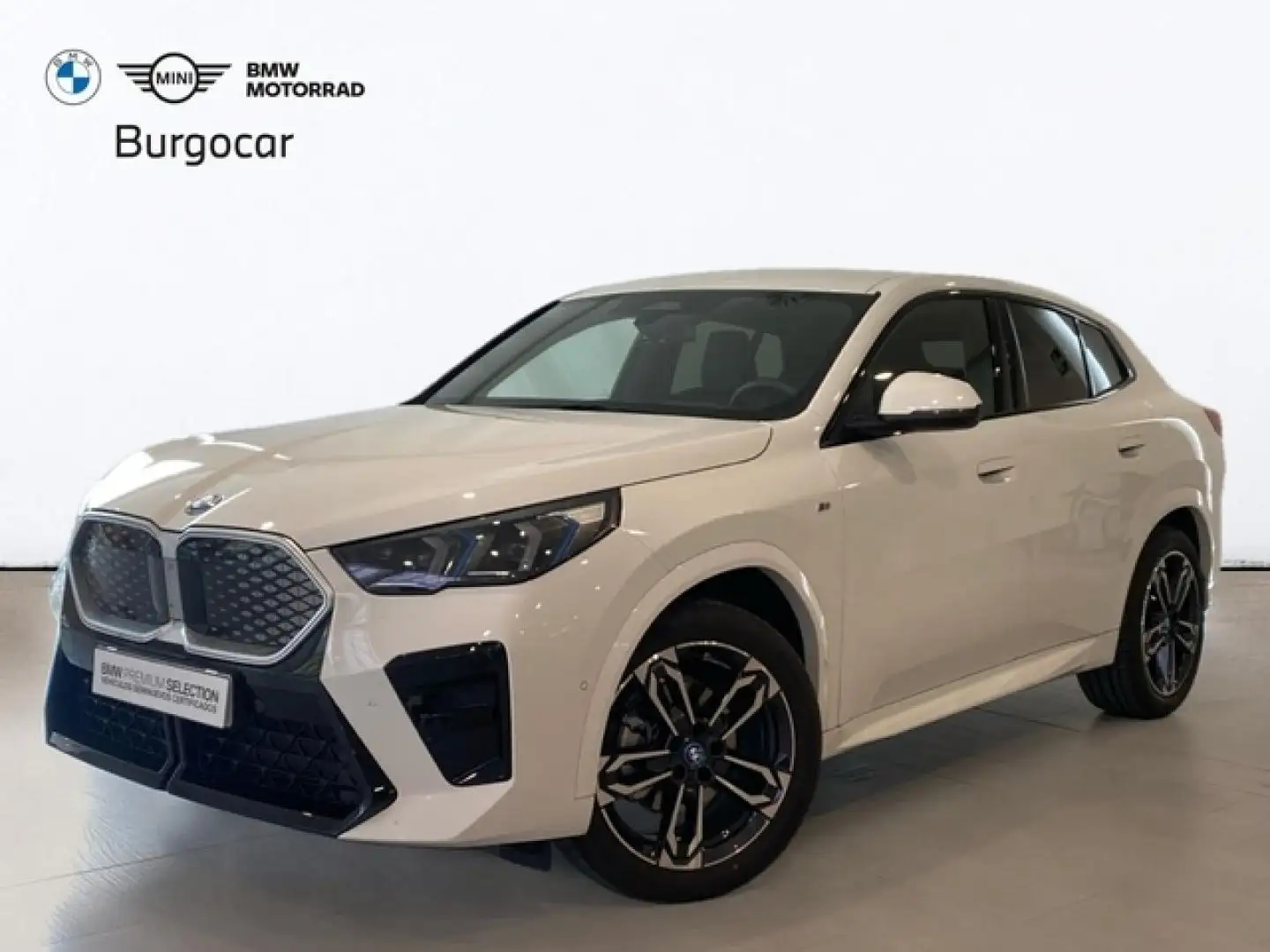 BMW iX2 eDrive20A Blanco - 1