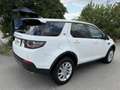 Land Rover Discovery Sport 2,0 TD4 Aut. 4WD SE Kamera Leder Xenon Navi Weiß - thumbnail 3