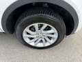 Land Rover Discovery Sport 2,0 TD4 Aut. 4WD SE Kamera Leder Xenon Navi Weiß - thumbnail 19