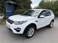Land Rover Discovery Sport 2,0 TD4 Aut. 4WD SE Kamera Leder Xenon Navi Weiß - thumbnail 4