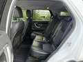 Land Rover Discovery Sport 2,0 TD4 Aut. 4WD SE Kamera Leder Xenon Navi Weiß - thumbnail 9