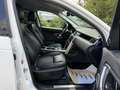 Land Rover Discovery Sport 2,0 TD4 Aut. 4WD SE Kamera Leder Xenon Navi Weiß - thumbnail 27