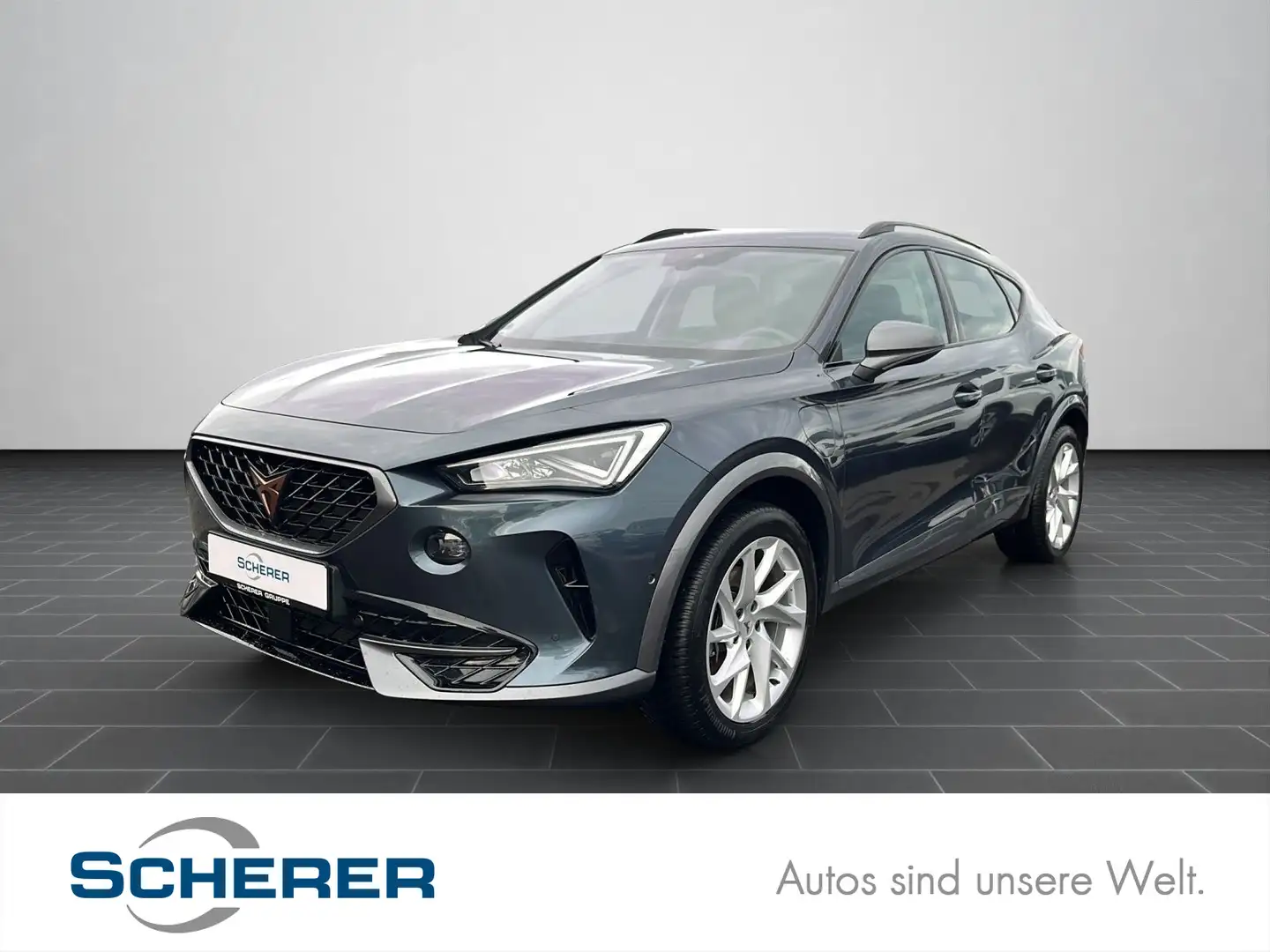 CUPRA Formentor 1.4 TSI eHybrid CARPLAY KAMERA SHZ GJR Grau - 1