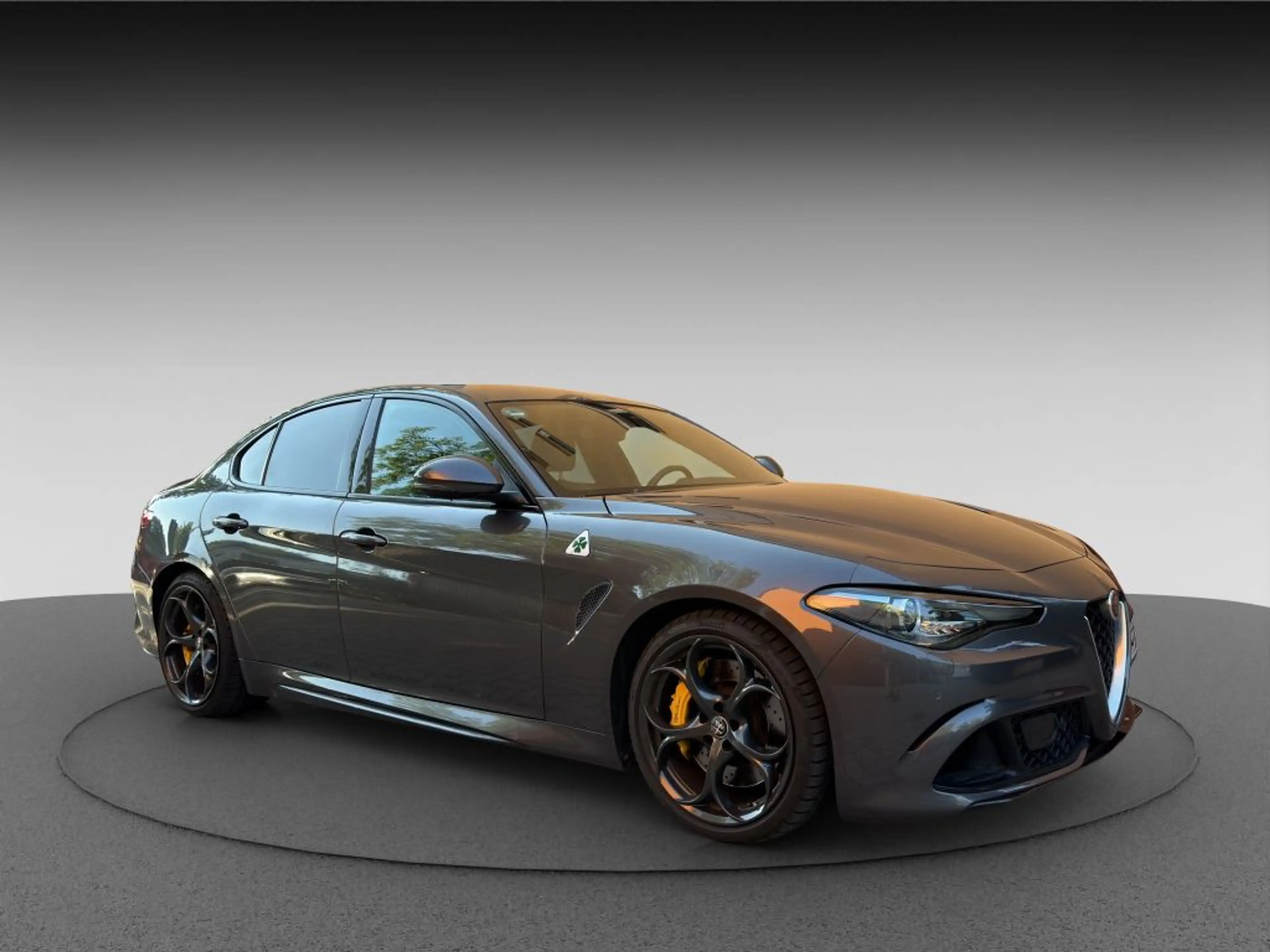 Alfa Romeo Giulia GIULIA QUADRIFOGLIO SCHECKHEFT 2. HAND DE FZG. — photo 2