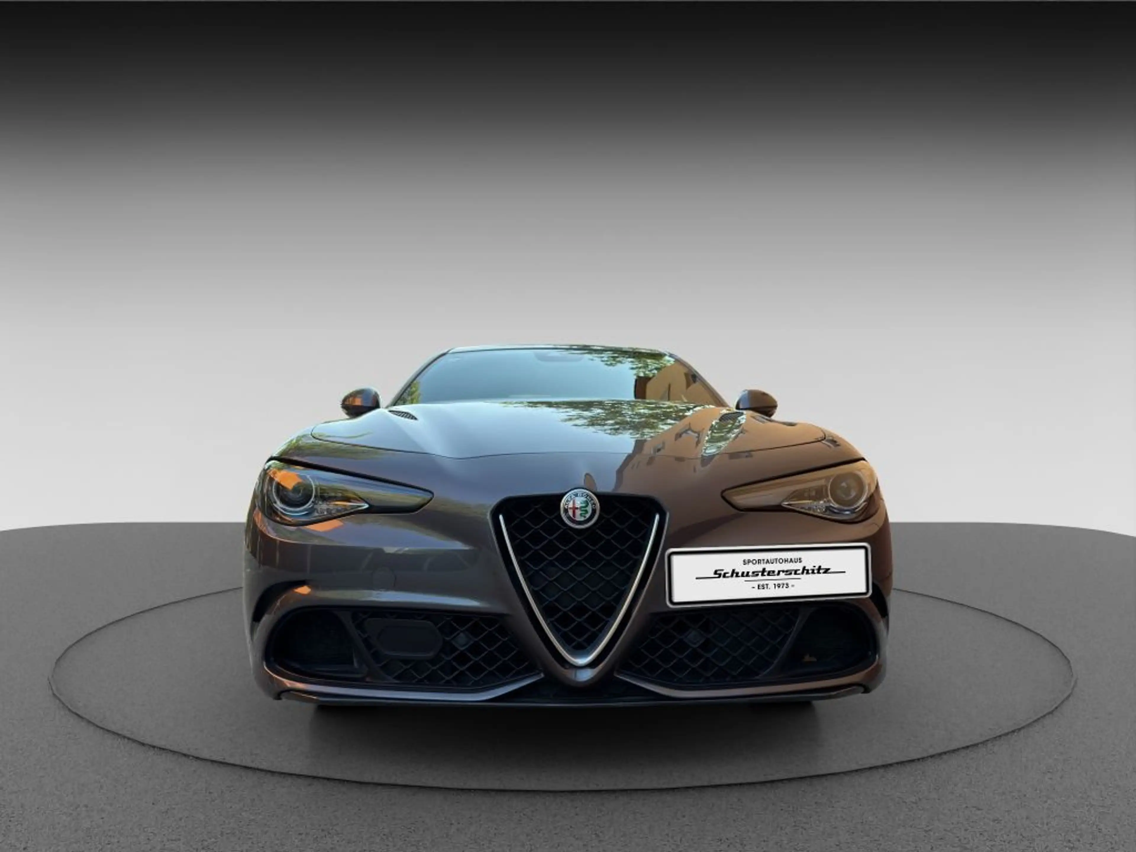 Alfa Romeo Giulia GIULIA QUADRIFOGLIO SCHECKHEFT 2. HAND DE FZG. — photo 3