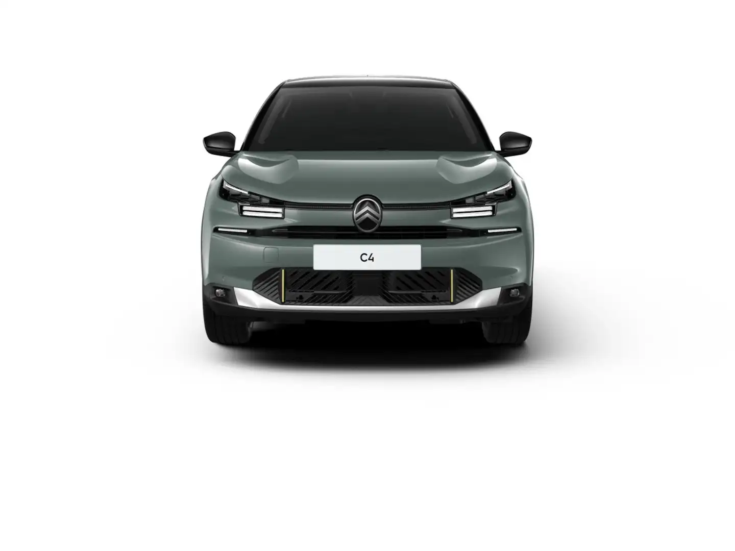 Citroen C4 MAX PT130EAT Winterpaket 360° Kamera ACC Keyless N Grün - 1