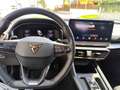 CUPRA Leon Nero - thumbnail 10