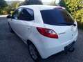 Mazda 2 1.3 i Mirai Weiß - thumbnail 11