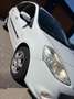 Renault Clio Grandtour Exception 1,2 16V Weiß - thumbnail 3