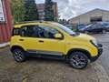Fiat Panda Panda Cross 1.3 MultiJet 4x4 Cross - thumbnail 5