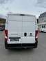 Fiat Ducato 120 L2H2 RS: 3450 mm Weiß - thumbnail 4