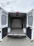 Fiat Ducato 120 L2H2 RS: 3450 mm Weiß - thumbnail 6