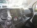 Fiat Ducato Pritsche ><L4 4200mm Blanc - thumbnail 10