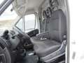 Fiat Ducato Pritsche ><L4 4200mm Blanc - thumbnail 7