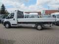 Fiat Ducato Pritsche ><L4 4200mm Blanc - thumbnail 1