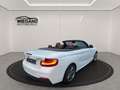 BMW 240 Cabrio Sport-Aut+LEDER+HIFI+NAVI-PROF+ Weiß - thumbnail 5