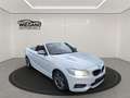 BMW 240 Cabrio Sport-Aut+LEDER+HIFI+NAVI-PROF+ Weiß - thumbnail 7