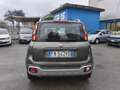 Fiat Panda Panda III 2016 1.2 City Cross s Grün - thumbnail 5