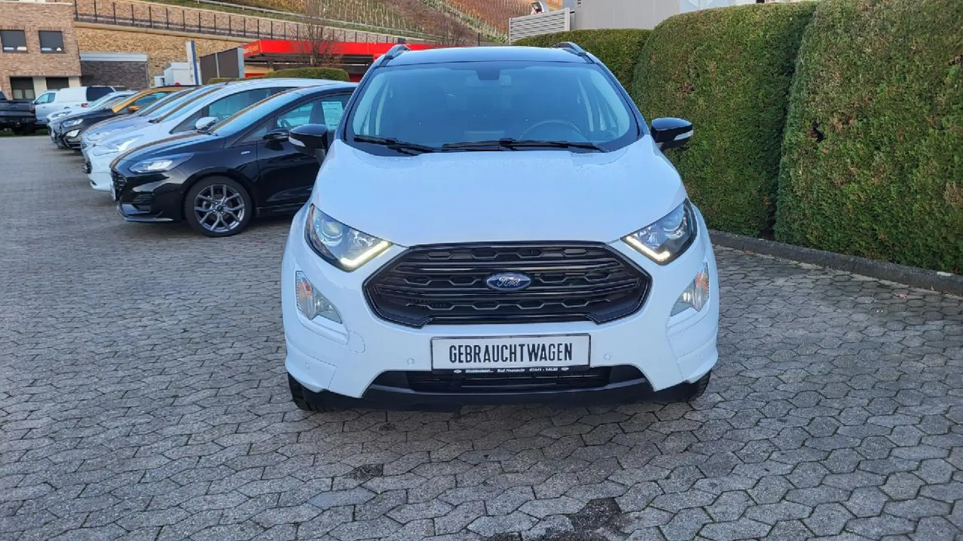 Ford EcoSport ST-Line Weiß - 2