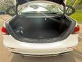 Mercedes-Benz E 220 E 220 d Aut. Weiß - thumbnail 9