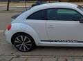 Volkswagen Beetle 2.0 TSI Sport DSG White - thumbnail 10
