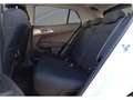 Kia Sportage 1.6 T-GDi MHEV Business DCT 4x2 160 - thumbnail 16