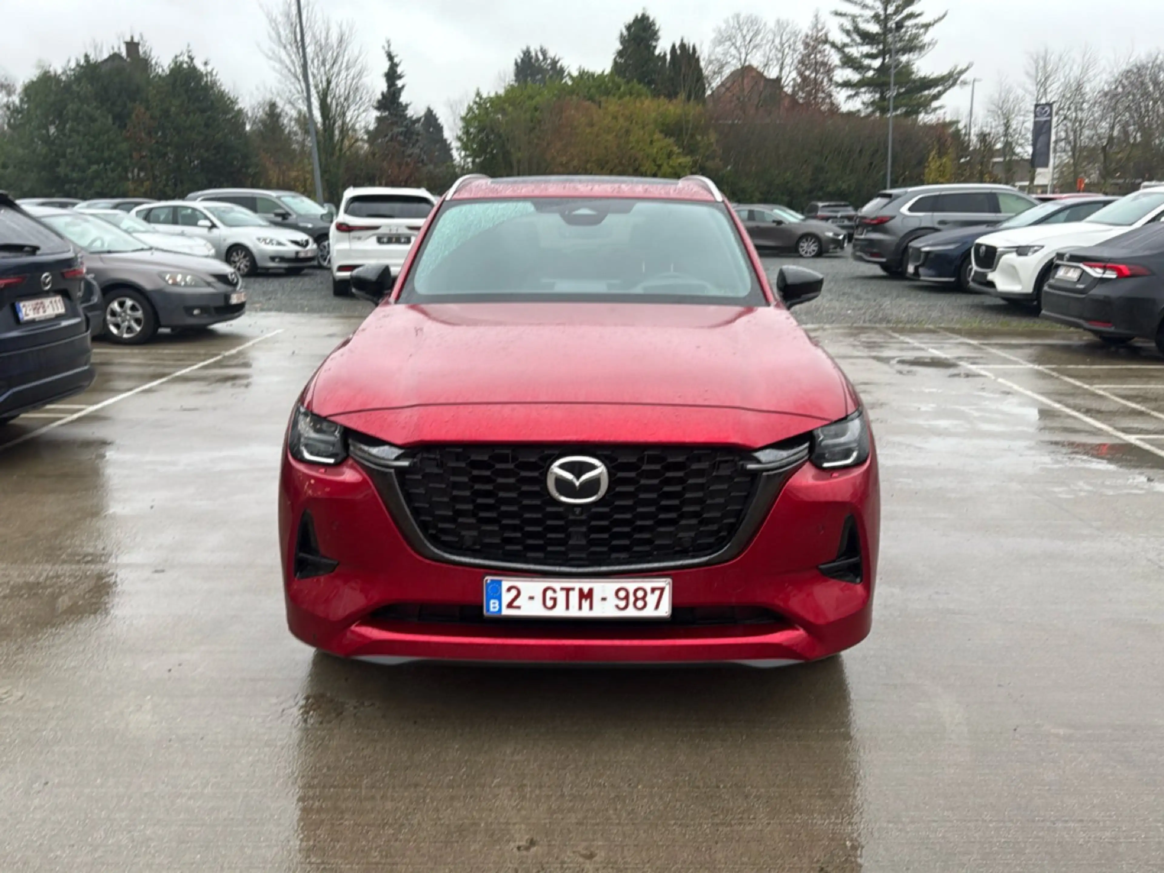 Mazda CX-80 e-SKYACTIV PHEV i-ACTIV AWD 8AT Homura Plus ( meerdere kleuren beschikbaar) — photo 5