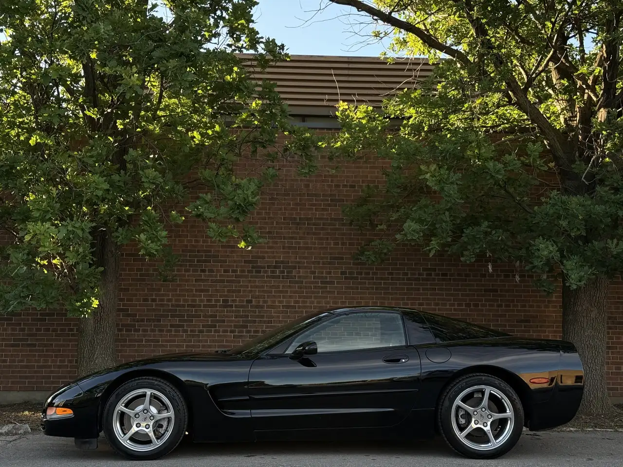 Chevrolet Corvette fotografie Chevrolet Corvette