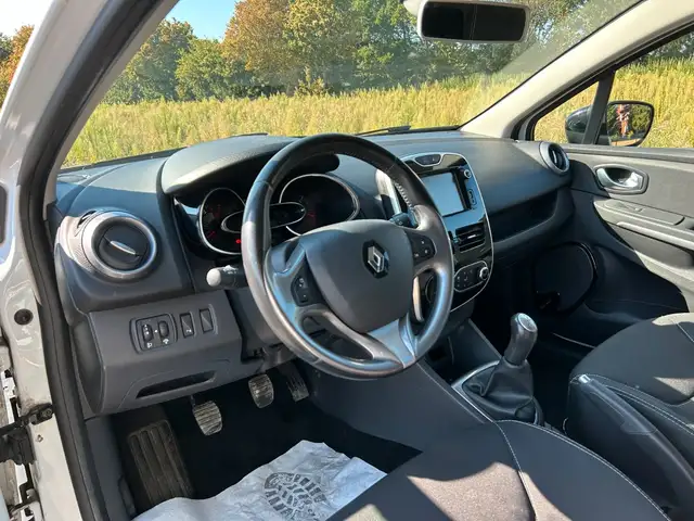 Renault Clio view 11
