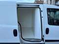 Fiat Doblo Cargo 1.3 Mjt 16v 90cv 3posti Coibendato - thumbnail 36