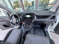 Fiat Doblo Cargo 1.3 Mjt 16v 90cv 3posti Coibendato - thumbnail 41