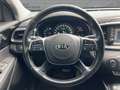 Kia Sorento 2.2 CRDi Platinum Edition 4WD Gris - thumbnail 9