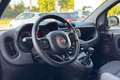 Fiat Panda Panda 1.0 hybrid E BENZINA VAN 2 POSTI Blanc - thumbnail 6