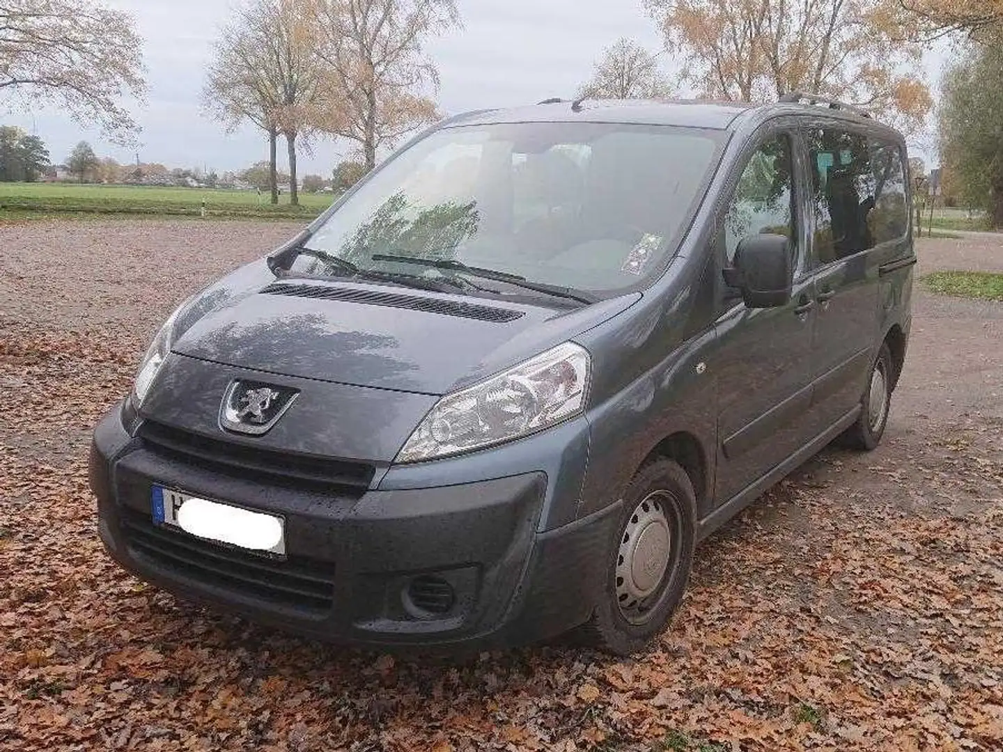 Peugeot Expert Expert HDi 165 L1H1 Grau - 1