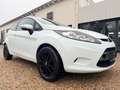 Ford Fiesta Trend 1.6 TDCI KLIMA*ALU*EURO 4 Weiß - thumbnail 1