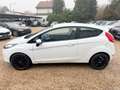 Ford Fiesta Trend 1.6 TDCI KLIMA*ALU*EURO 4 Weiß - thumbnail 5