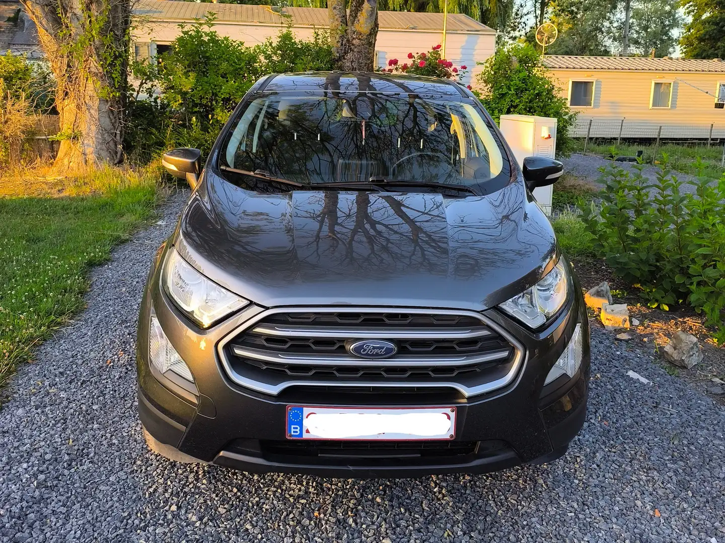 Ford EcoSport Ecosport 1.0 EcoBoost FWD Connected (EU6d) Gris - 2